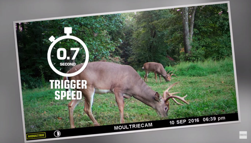 Moultrie A35 Review