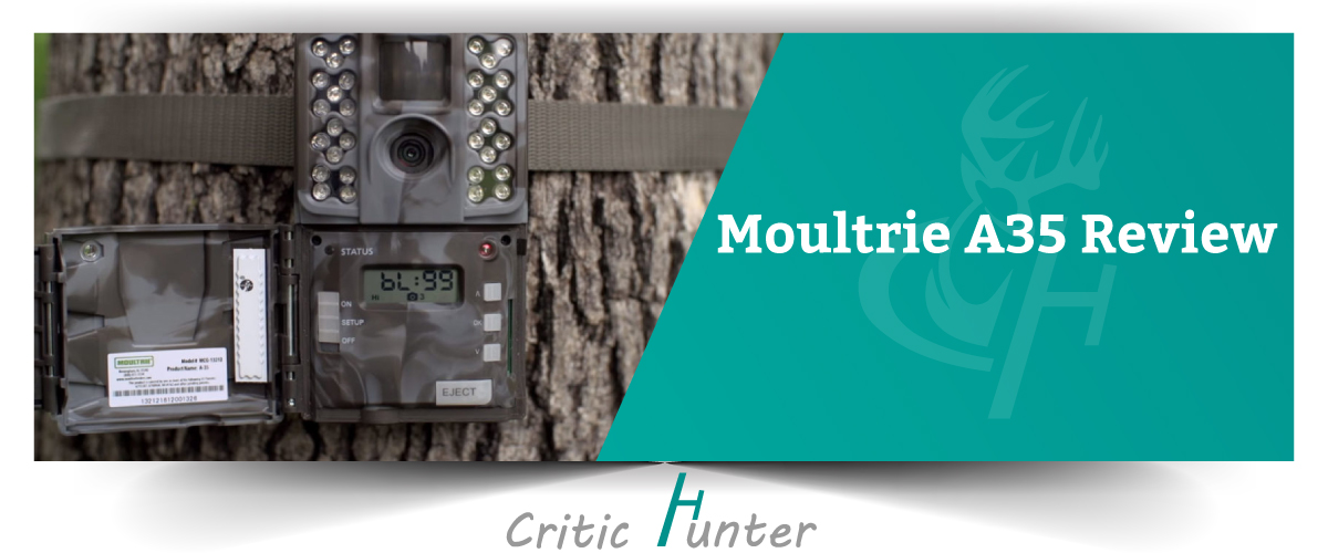 Moultrie Game Camera Reviews A Complete Guideline For You Hunts Tool