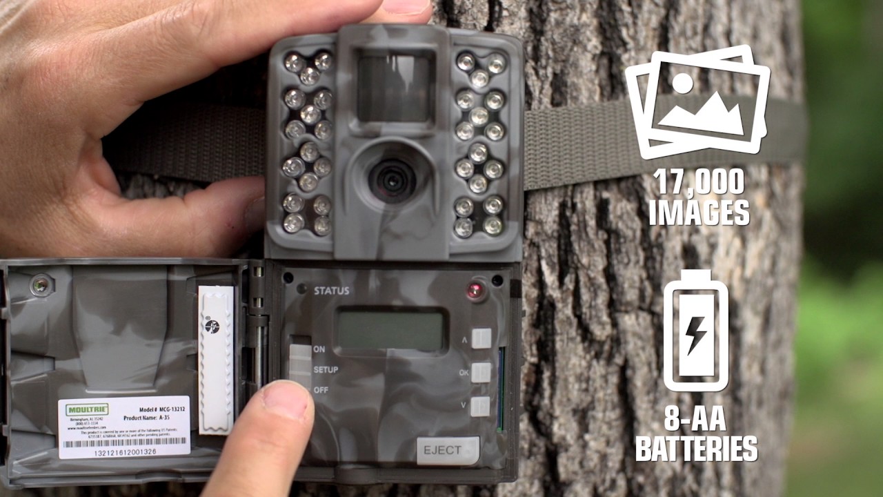 Moultrie A35 Reviews: Is That Camera Worth Your Money!