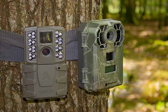 Tec Bean Trail Camera Reviews: Best Trail Camera For Security