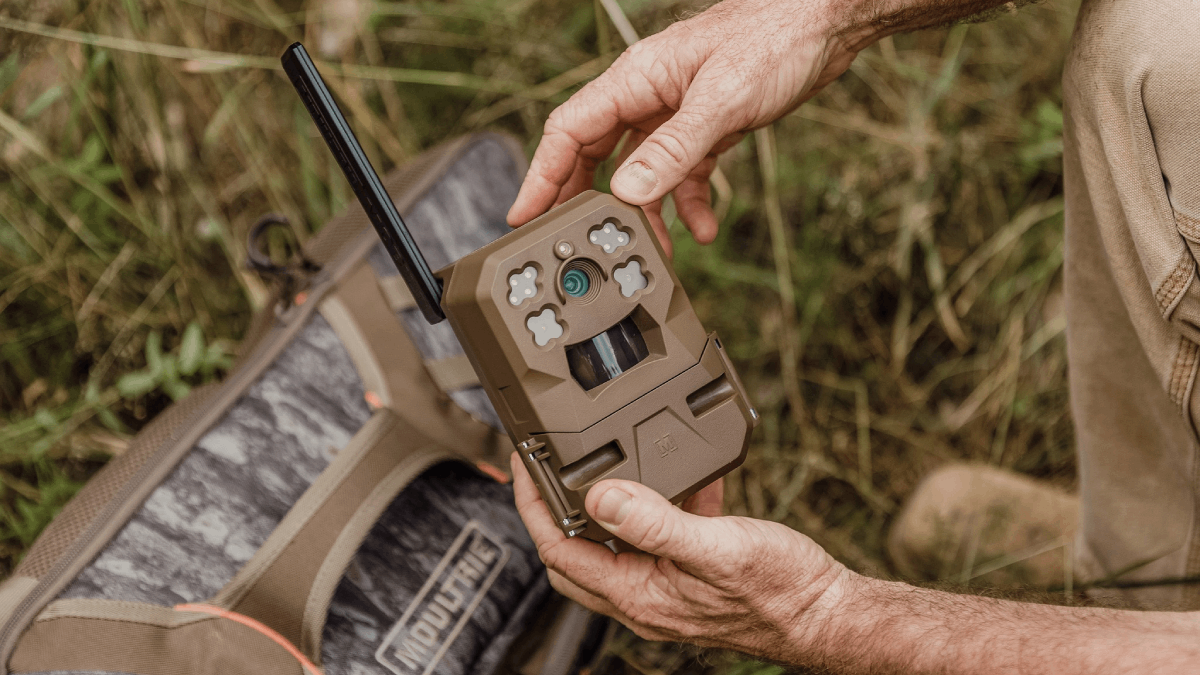 How to Maintain a Cellular Trail Camera?